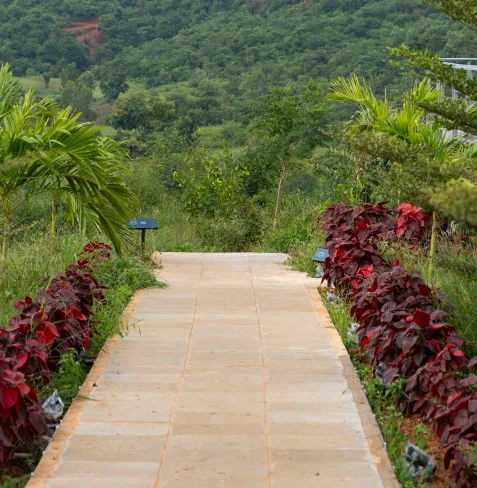 Stone path lined with red foliage leading toward the forest