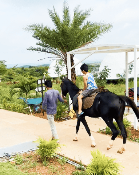 Horse ride past the domes